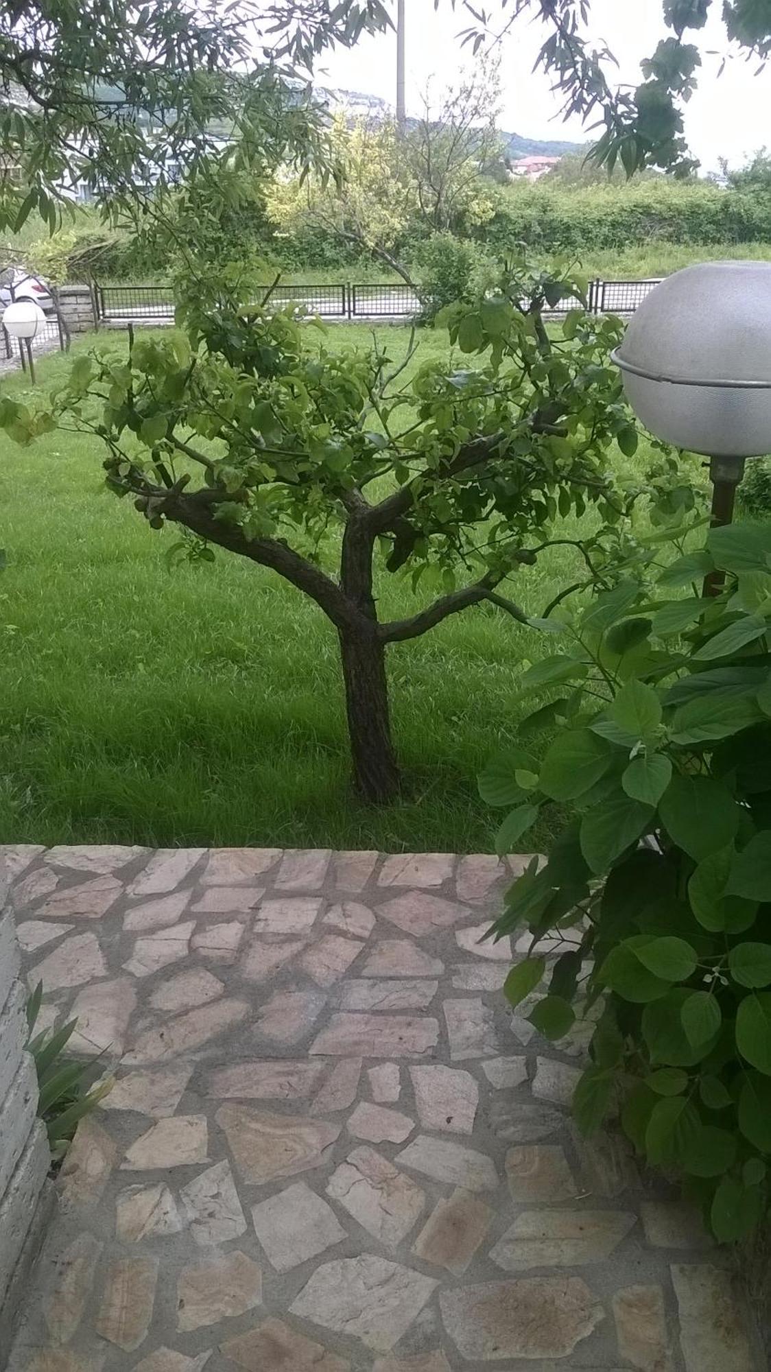 Villa Elina Balchik Esterno foto